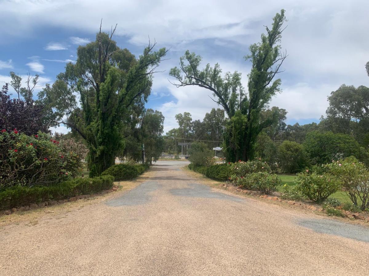 Newell Motor Inn Narrandera Zewnętrze zdjęcie