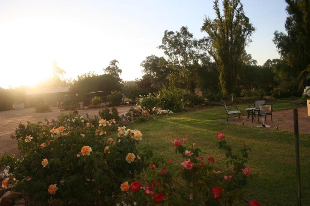 Newell Motor Inn Narrandera Zewnętrze zdjęcie