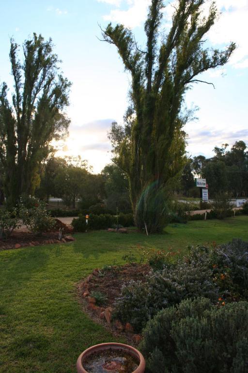 Newell Motor Inn Narrandera Zewnętrze zdjęcie